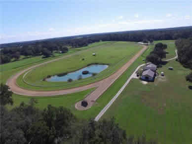 Florida Horse Farmss For Sale - Let us help you buy or sell your next Horse Farms