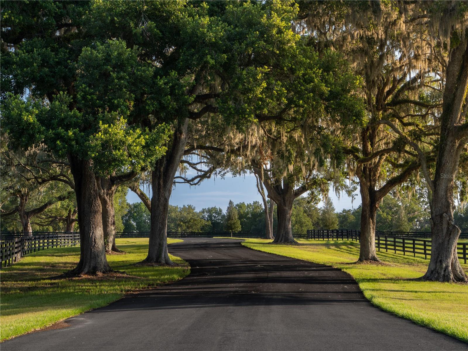 Luxury Horse Farm Parcel For Sale - 21 Acres - Ocala $3,177,000