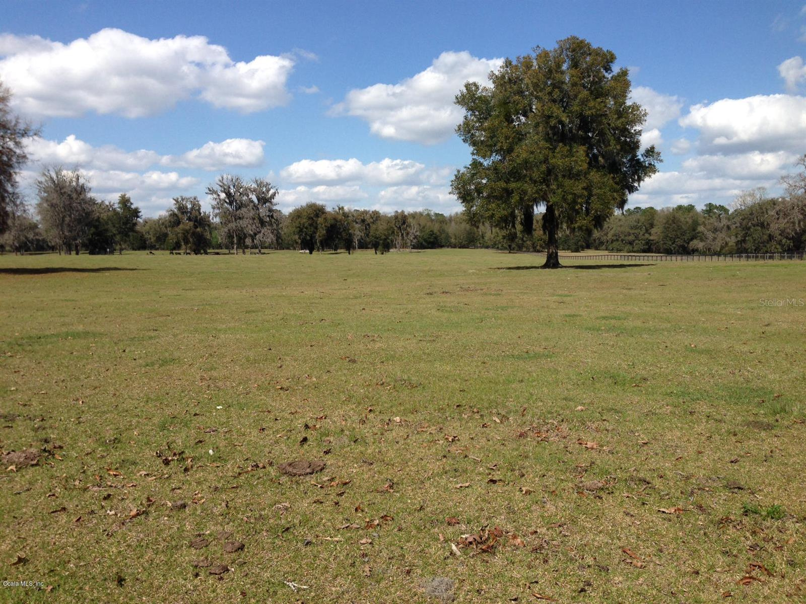 28 Acre Parcel For Sale near Golden Ocala Golf and Equestrian Club $3,331,000