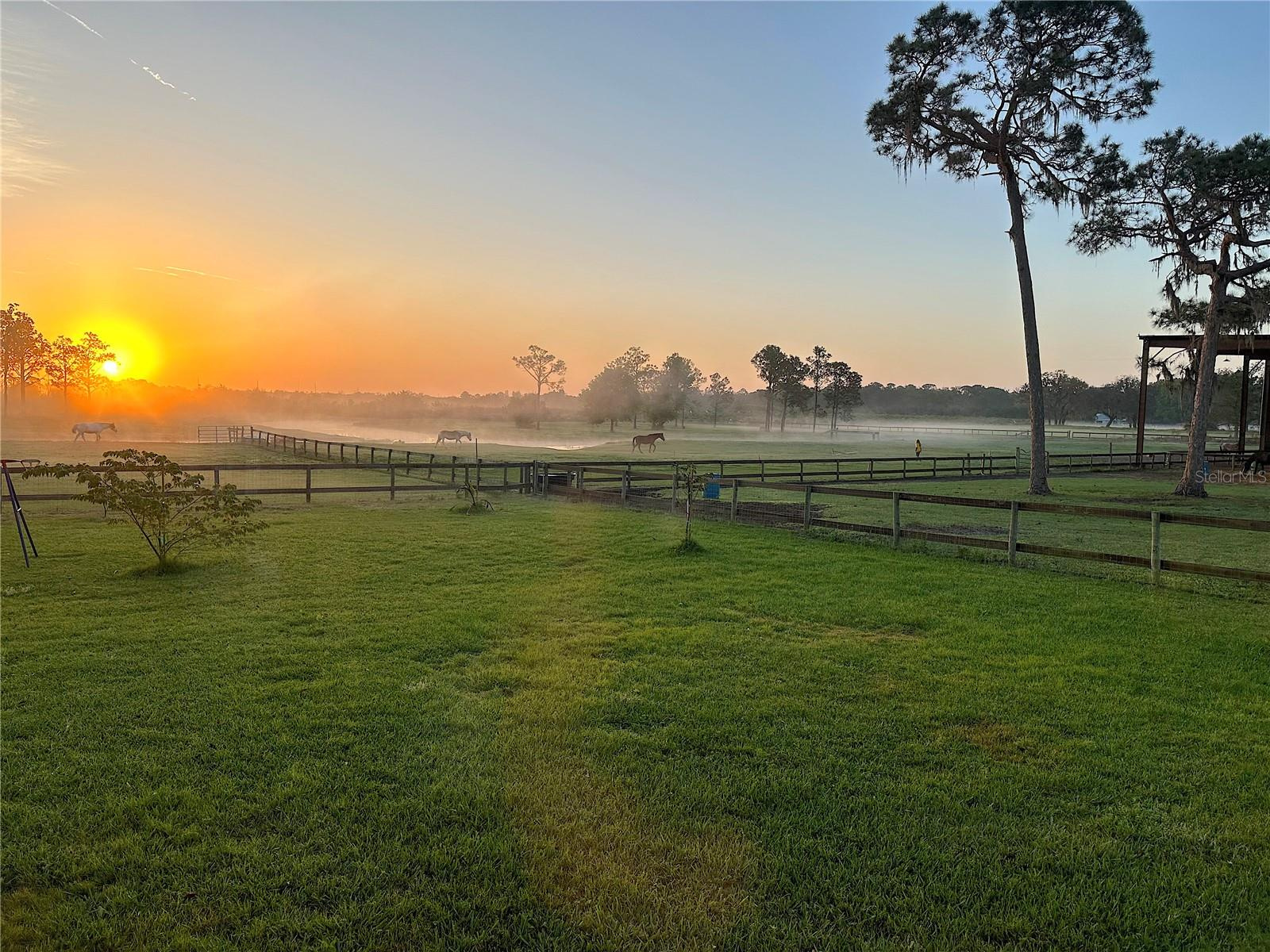 Equestrian Estate with Covered Arena For Sale in Avon Park, FL - 10.4 acres $1,475,000
