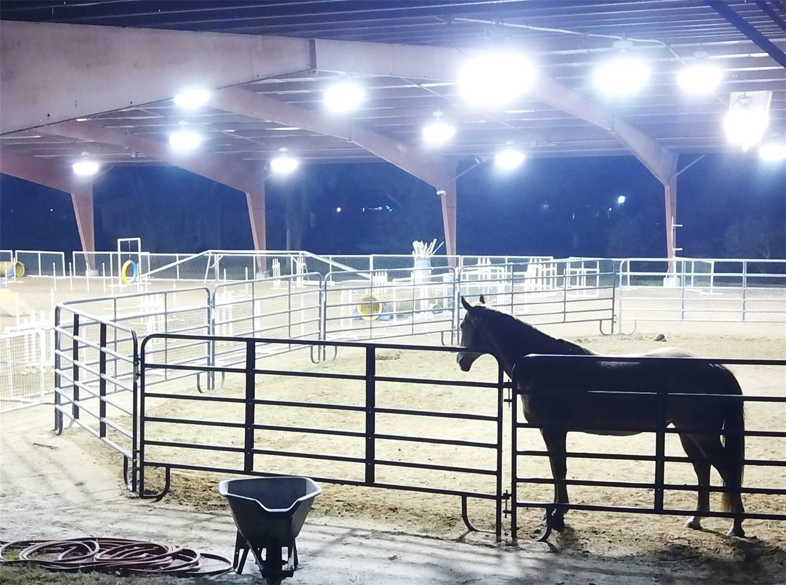 10 Acre Commercial Horse Farm For Sale in Tampa, FL $3,500,000 10 Acre Commercial Horse Farm For Sale in Tampa, FL $3,500,000