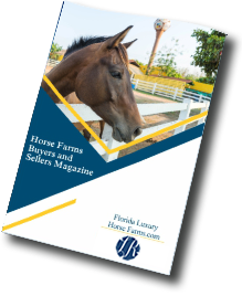 Florida Horse Farms Real Estate Specialist - Let us help you buy or sell your next Horse Farms Property